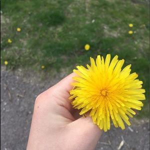 Meet your Posher, Leah